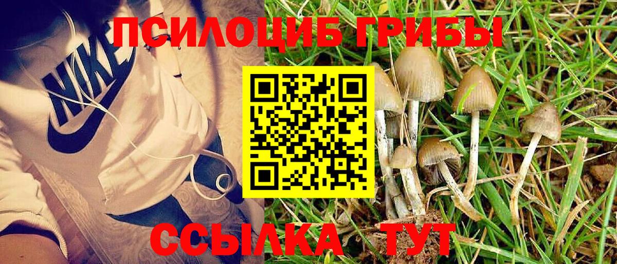 Галлюциногенные грибы Magic Shrooms Кохма