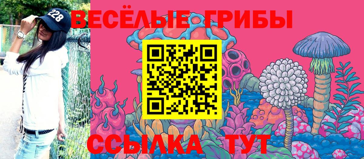 Галлюциногенные грибы ЛСД  Галлюциногенные грибы GOLDEN TEACHER  Вход с VPN  Кохма 