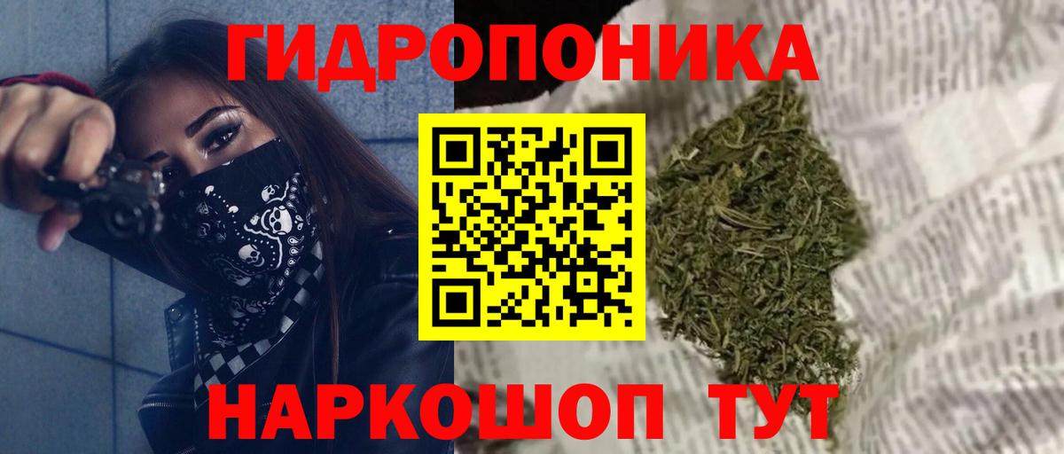 Бошки марихуана конопля  Вход с VPN  Канабис Bruce Banner  Кохма  Бошки Шишки MAZAR 